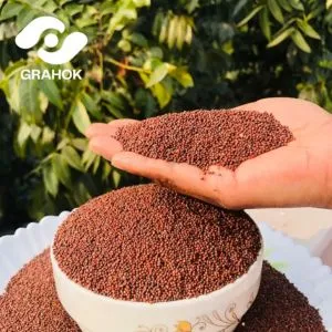 Super Food Ragi